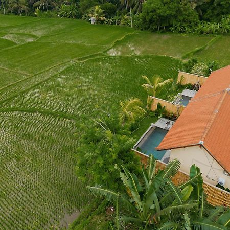 Uma Rimbun Pool Villa By Uniquecations Убуд Экстерьер фото